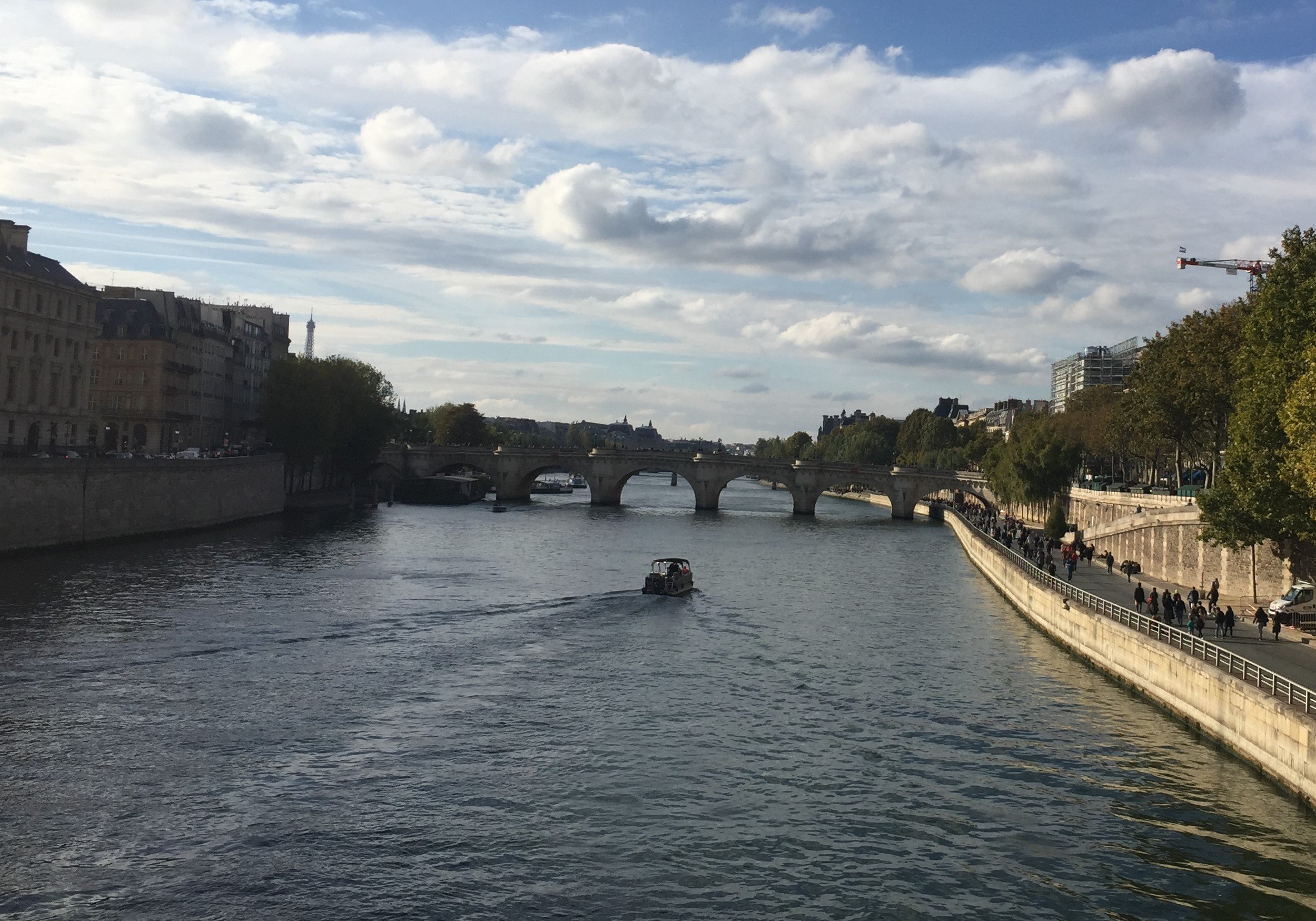Pont Neuf and Seine River 